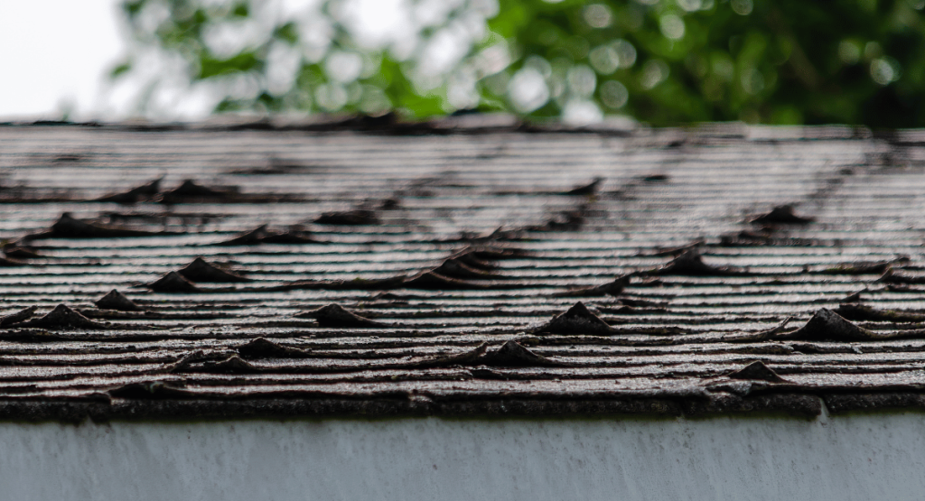 Curling and Damaged shingle roof